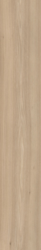 YKSG6 2012B RM.jpg